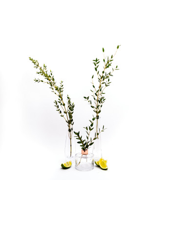 Refresh Essential Oil 