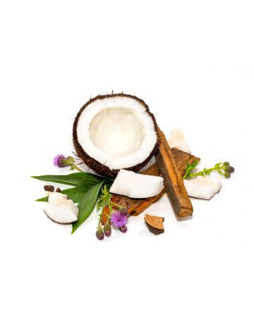 Rosewood + Coconut Cream Fragrance Oil 