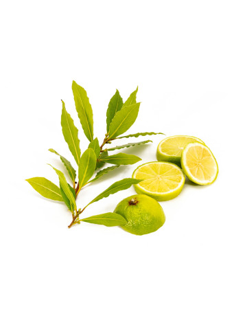Citron Vert + Bay Leaf : The White Type F.O.