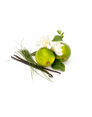 Indian Lemongrass + Lime Peel F.O.