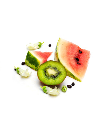 Watermelon Slice + Kiwi F.O.
