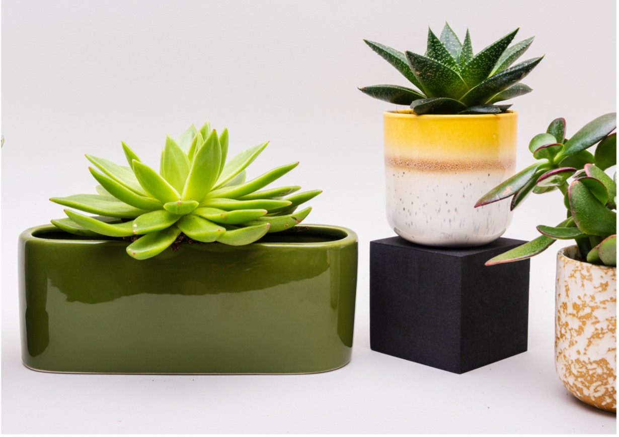  Show-Stopping Ceramics; Pots To Make Your Succulents Shine